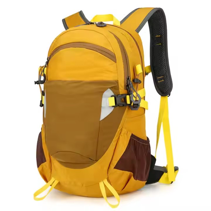 Backpacks 3-1