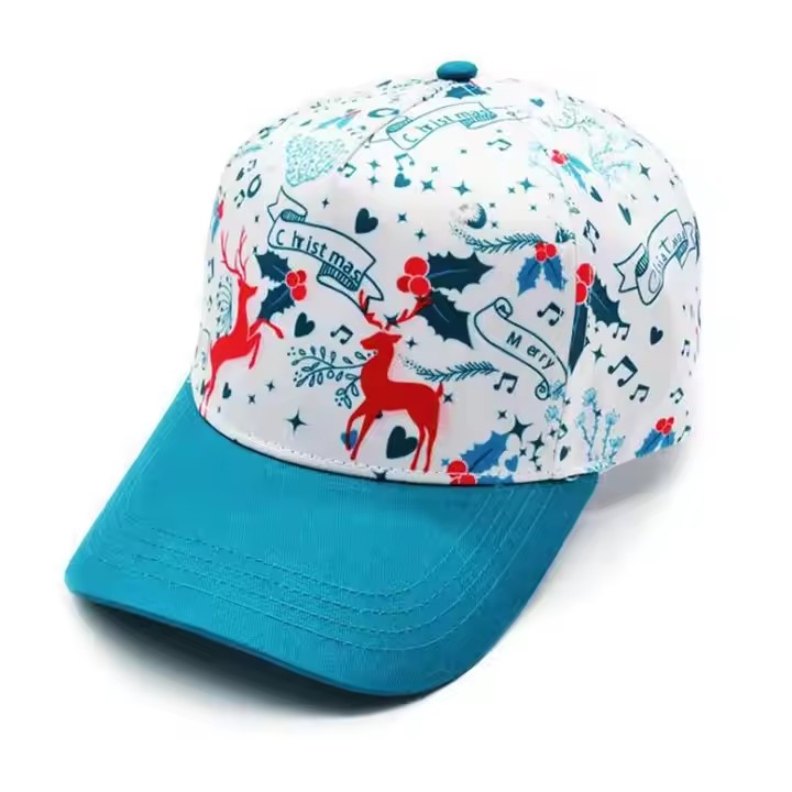 Baseball cap 5-1