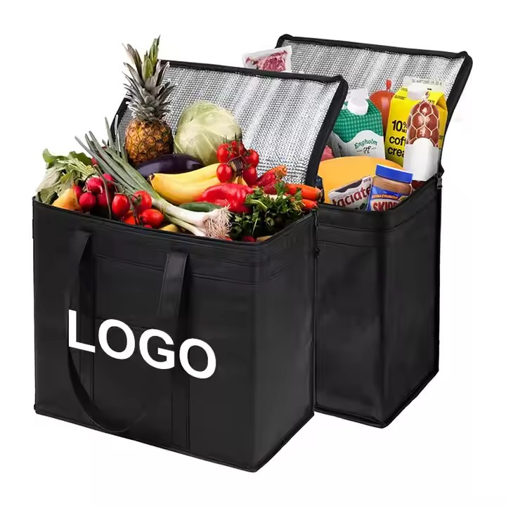 Cooler Bags 2-1