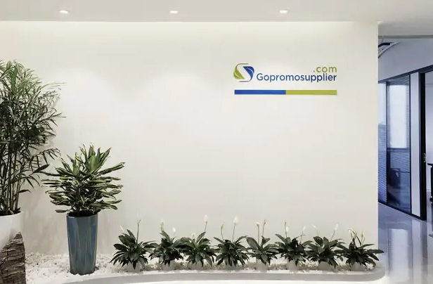 About Gopromo
