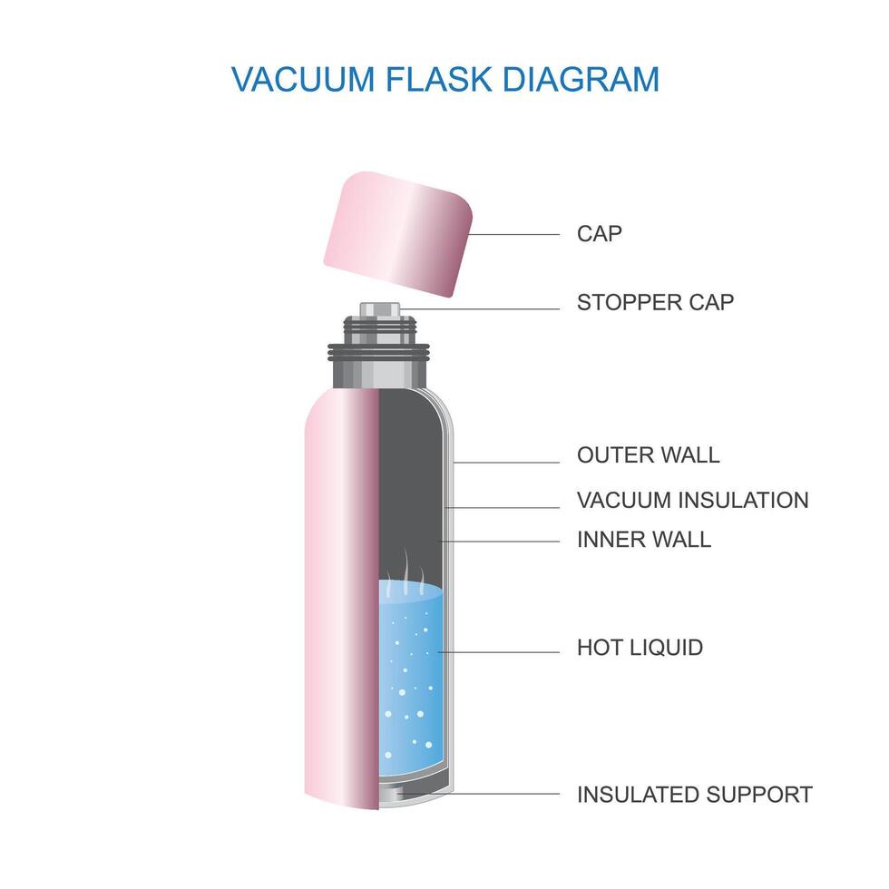 vacuum-flask-or-thermo-flask-full-diagram-dewarflask-or-thermos-illustration-diagram-showing-vacuum-flask-layers-cross-section-cut-away-view-of-thermos-vacuum-flask-vector vacuum-flask-or-thermo-flask-full-diagram-dewarflask-or-thermos-illustration-diagram-showing-vacuum-flask-layers-cross-section-cut-away-view-of-thermos-vacuum-flask-vector