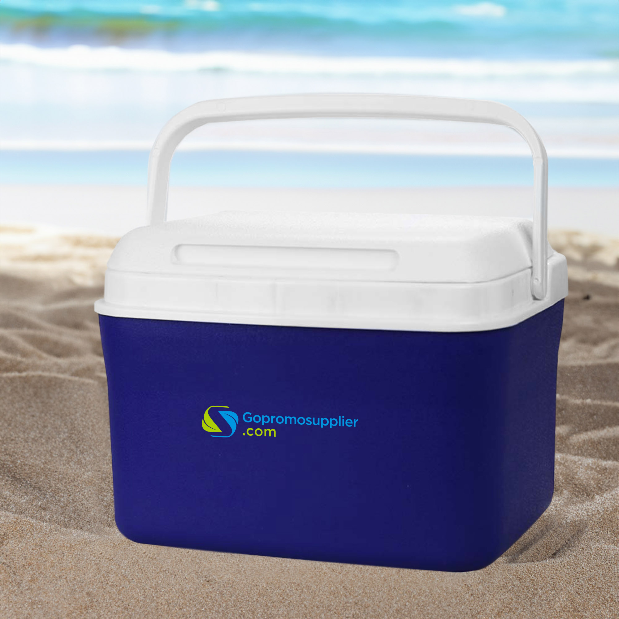 CL001 Light‑weight Portable Insulated Cooler Box with Carry Handle, Mini Ice Chest for Picnic, Beach, Camping, Custom Logo Print Available